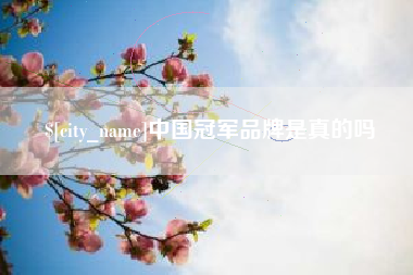邓州中国冠军品牌是真的吗