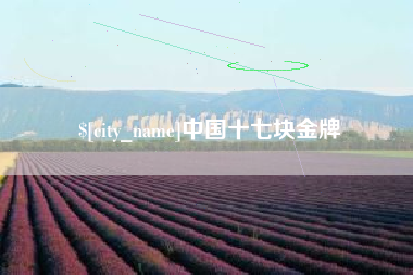 邓州中国十七块金牌