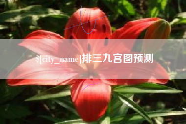 邓州排三九宫图预测