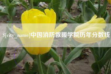 邓州中国消防救援学院历年分数线