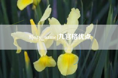 邓州九宫格优点