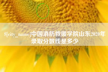 邓州中国消防救援学院山东2020年录取分数线是多少