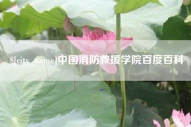 邓州中国消防救援学院百度百科