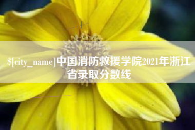 邓州中国消防救援学院2021年浙江省录取分数线