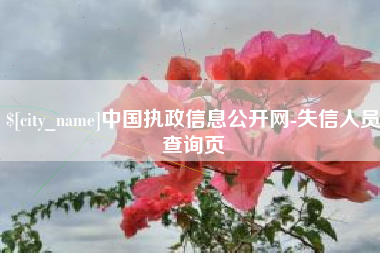 邓州中国执政信息公开网-失信人员查询页