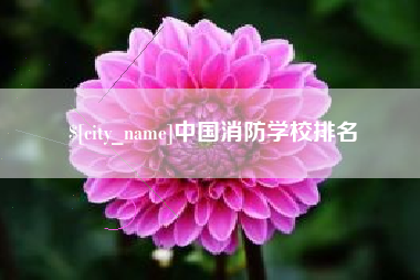 邓州中国消防学校排名