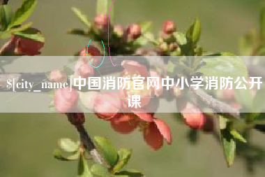 邓州中国消防官网中小学消防公开课