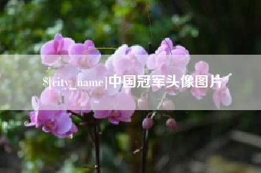 邓州中国冠军头像图片