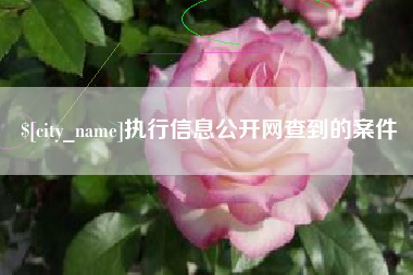 邓州执行信息公开网查到的案件