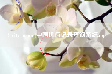 邓州中国执行记录查询系统app