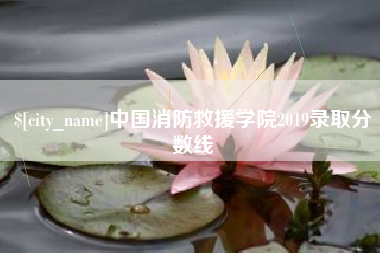 邓州中国消防救援学院2019录取分数线
