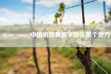 邓州中国消防救援学院在那个地方