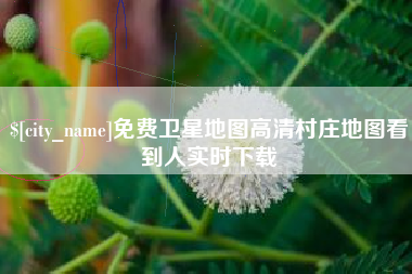 邓州免费卫星地图高清村庄地图看到人实时下载