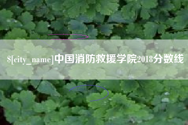 邓州中国消防救援学院2018分数线