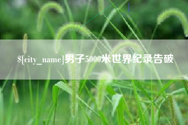 邓州男子5000米世界纪录告破