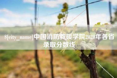 邓州中国消防救援学院2020年各省录取分数线