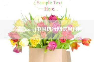 邓州中国执行网信息官网