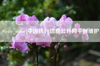 邓州中国执行信息公开网平台维护