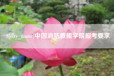 邓州中国消防救援学院报考要求