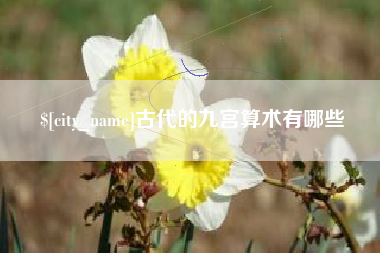 邓州古代的九宫算术有哪些