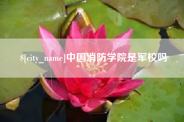 邓州中国消防学院是军校吗