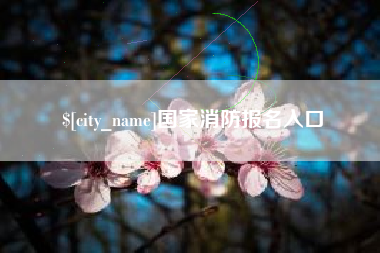 邓州国家消防报名入口