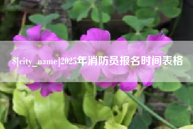 邓州2025年消防员报名时间表格