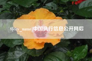 邓州中国执行信息公开网后