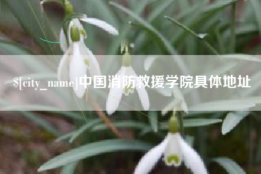 邓州中国消防救援学院具体地址