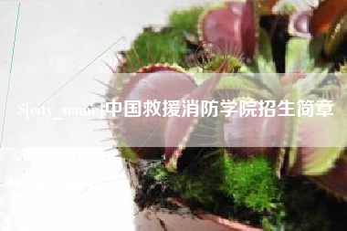 邓州中国救援消防学院招生简章