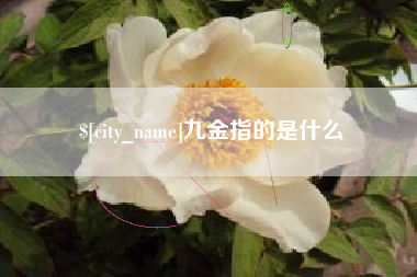 邓州九金指的是什么