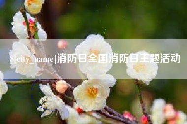 邓州消防日全国消防日主题活动