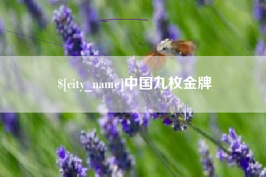 邓州中国九枚金牌