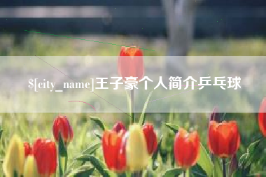 邓州王子豪个人简介乒乓球