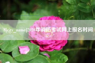 邓州2020年消防考试网上报名时间