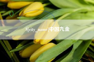 邓州中国九金