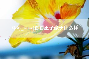 邓州看看王子豪长什么样