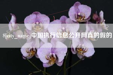邓州中国执行信息公开网真的假的
