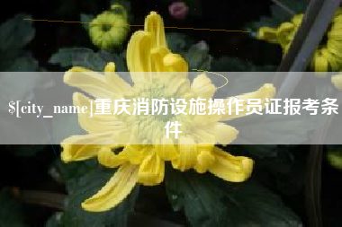 邓州重庆消防设施操作员证报考条件