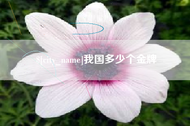 邓州我国多少个金牌