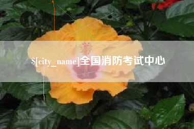 邓州全国消防考试中心