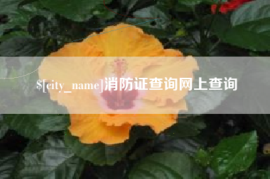 邓州消防证查询网上查询