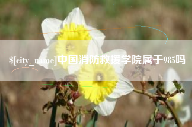 邓州中国消防救援学院属于985吗