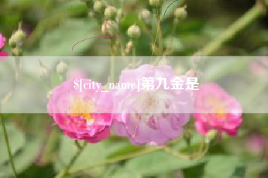 邓州第九金是