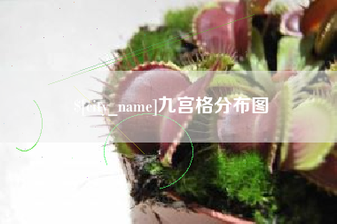 邓州九宫格分布图