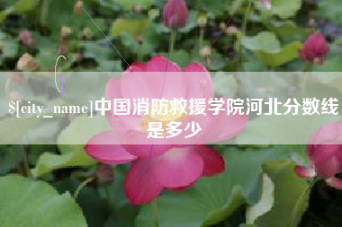 邓州中国消防救援学院河北分数线是多少