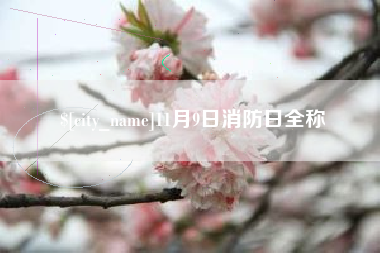 邓州11月9日消防日全称