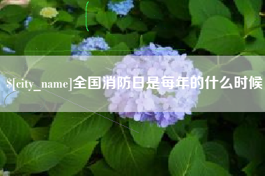 邓州全国消防日是每年的什么时候