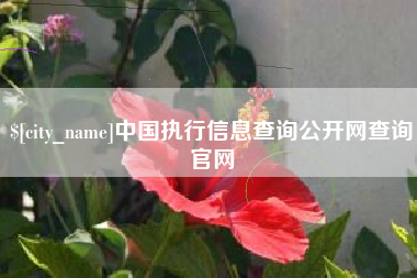 邓州中国执行信息查询公开网查询官网
