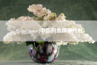 邓州中国的金牌有几名